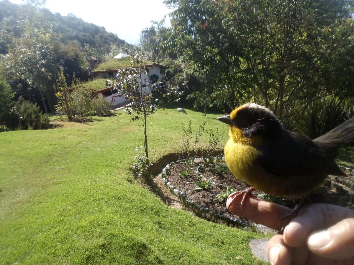 Jardin Colibri Rnt 33633 Villa Guatavita Bagian luar foto