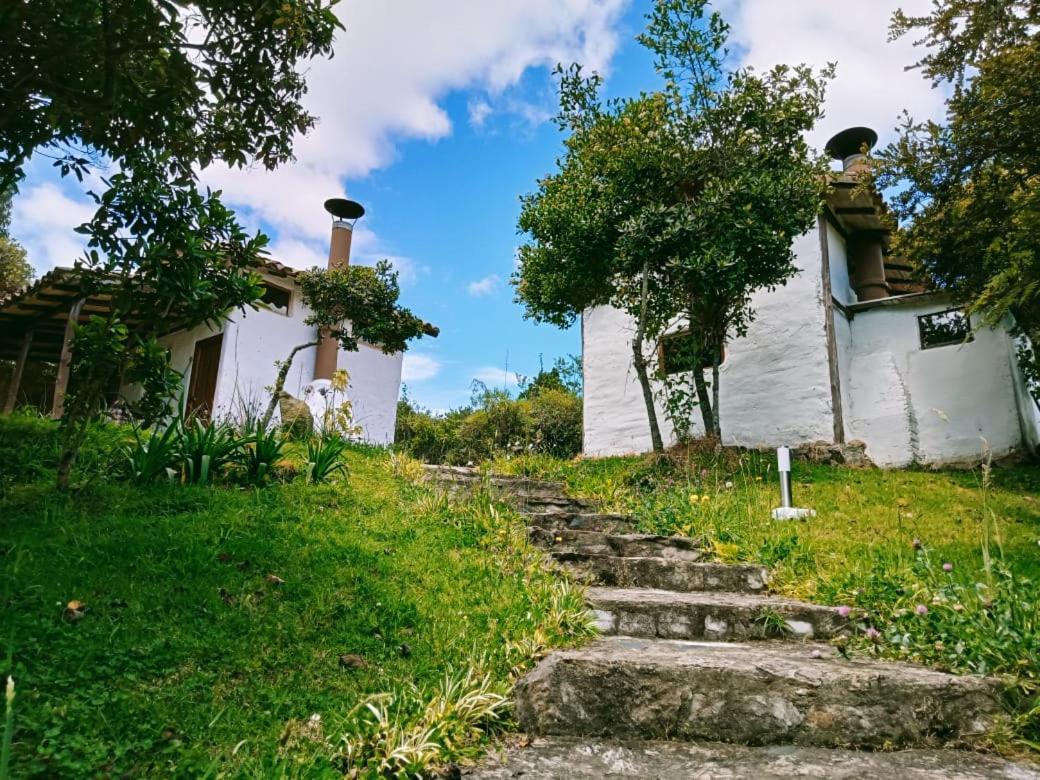 Jardin Colibri Rnt 33633 Villa Guatavita Bagian luar foto