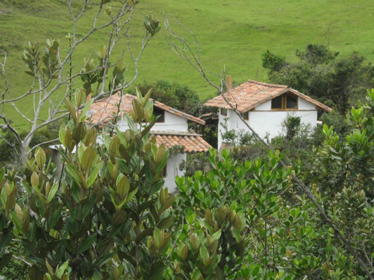 Jardin Colibri Rnt 33633 Villa Guatavita Bagian luar foto
