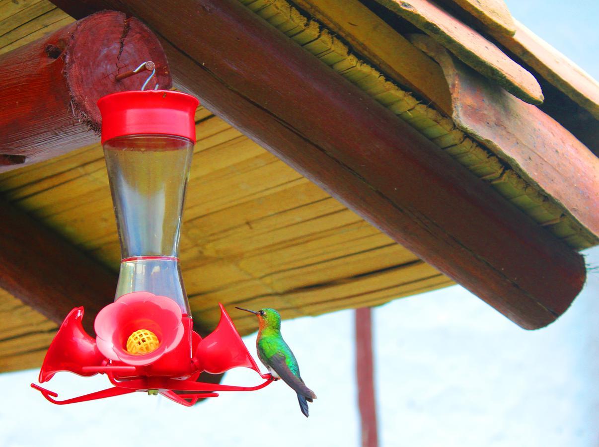 Jardin Colibri Rnt 33633 Villa Guatavita Bagian luar foto